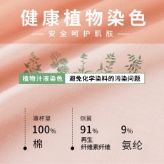 新品健康义乳文胸 植物染色  乳腺术后专用胸罩无钢圈 2005